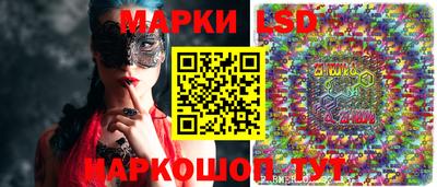 МДПВ Донецк